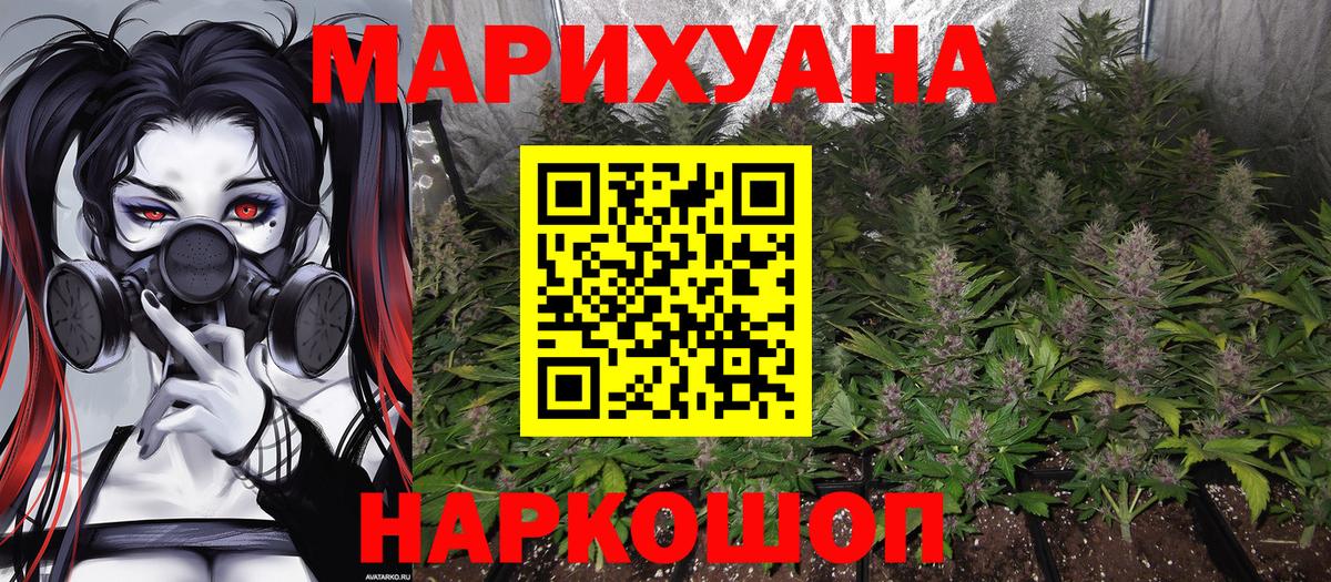 Бошки марихуана ГИДРОПОН  Шишки марихуана тримм  Сорочинск  Бошки Шишки гибрид  Вход с VPN 